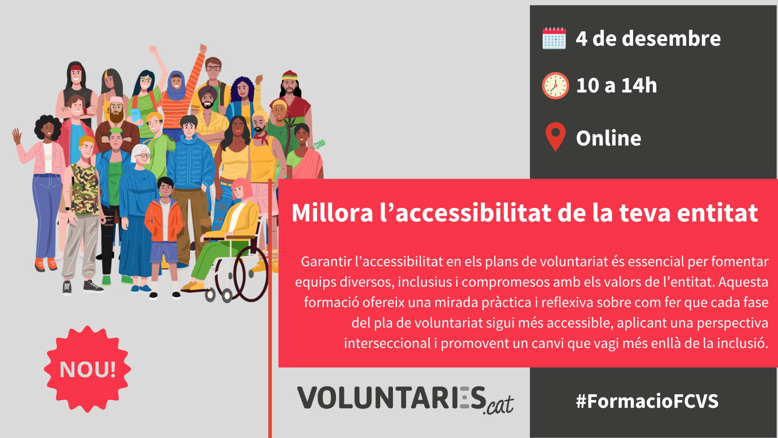Com gestionar el voluntariat des d’una perspectiva accessible. (4 hores)